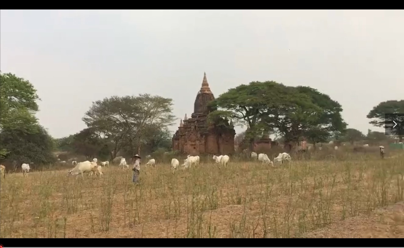 缅甸旅游小视频